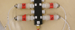 NPT valves for olfactometer study